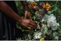 Flowers picking hands beautiful. Generate Ai Product Image 1