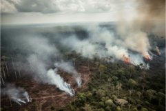 Forest fires aerial. Generate AI Product Image 1