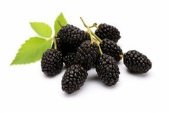 Enticing Fresh black mulberries. Generate Ai Product Image 1