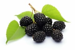 Glossy Fresh black mulberries. Generate Ai Product Image 1