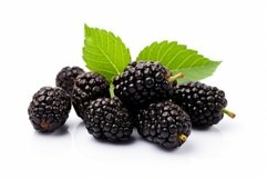 Scrumptious Fresh black mulberries. Generate Ai Product Image 1
