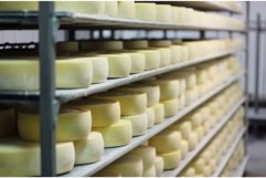 Fresh cheese heads on rack in city factory. Generate Ai Product Image 1