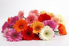 Gerbera flowers. Generate Ai Product Image 1