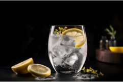 Gin tonic cocktail. Generate ai Product Image 1