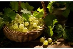 Gooseberry on black background Product Image 1