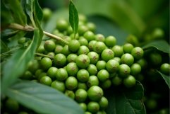 Green peppercorns brunch leaves. Generate Ai Product Image 1