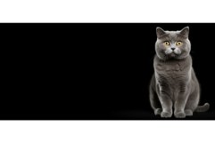Agile Grey cat. Generate Ai Product Image 1