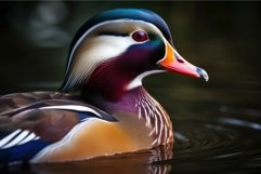 Mandarin duck colorful. Generate Ai Product Image 1