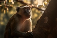 Monkey tree forest nature. Generate Ai Product Image 1
