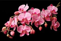 Elegant Pink orchids flowers. Generate Ai Product Image 1