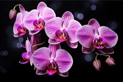 Enchanting Pink orchids flowers. Generate Ai Product Image 1