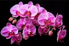 Captivating Pink orchids flowers. Generate Ai Product Image 1