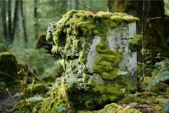 Craggy Overgrown lichen rock. Generate Ai Product Image 1