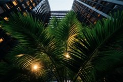 Palm leaves front skyscraper tourism. Generate Ai Product Image 1