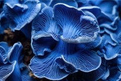 Intriguing Blue mushroom closeup background. Generate Ai Product Image 1