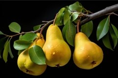 Lush Pear fruits branch. Generate Ai Product Image 1