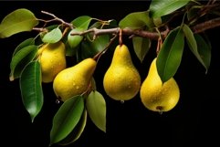 Crunchy Pear organic fruits branch. Generate Ai Product Image 1