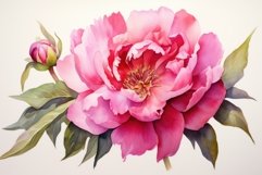 Expressive Peony flowers. Generate Ai Product Image 1