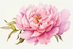 Elegant Peony flowers. Generate Ai Product Image 1