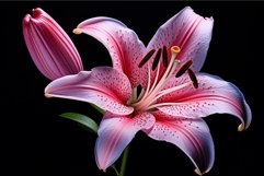Enchanting Pink lilly. Generate Ai Product Image 1