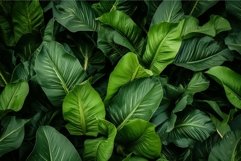 Vibrant Plantain leaves. Generate Ai Product Image 1