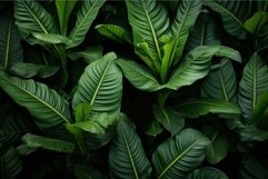 Lush Plantain leaves. Generate Ai Product Image 1