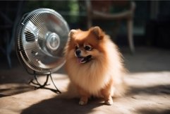 Pomeranian dog cooling near the electrical fan. Generate ai Product Image 1