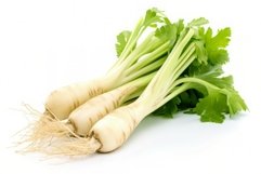 Raw celery roots plant. Generate Ai Product Image 1