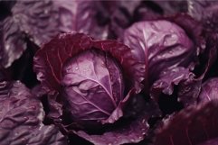 Red cabbage closeup. Generate AI Product Image 1