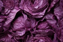 Leafy Red cabbage closeup. Generate AI Product Image 1