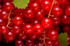 Crisp Red currant berries. Generate Ai Product Image 1