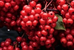 Red berries branch viburnum fall. Generate Ai Product Image 1