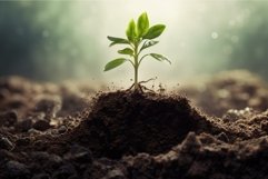 Branching Plant showing root. Generate Ai Product Image 1