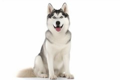 Siberian husky. Generate Ai Product Image 1