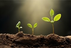 Delicate Small green leaves growth. Generate Ai Product Image 1