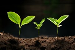 Verdant Small green leaves growth. Generate Ai Product Image 1