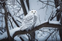 Snowy owl tree branch. Generate Ai Product Image 1