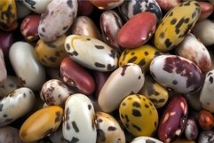 Spotted beans colorful pile. Generate Ai Product Image 1