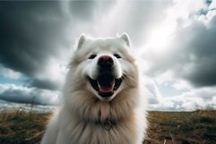 Cute white dog. Generate Ai Product Image 1