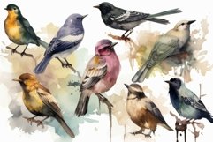 Watercolor birds set. Generate Ai Product Image 1