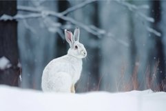 White bunny in winter snowy forest. Generate ai Product Image 1