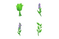Culinary herb icons set cartoon vector. Various aromatic cul Product Image 1