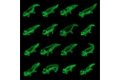 Axolotl icons set vector neon Product Image 1