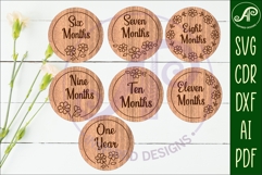 Baby Milestone Discs Daisy Floral, Monthly Baby photo props Product Image 3