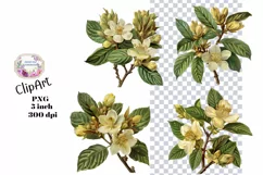 Flowers, Ephemera, PNG, Junk Journal, Vintage, clipart Product Image 1