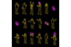Rage icons set vector neon Product Image 1