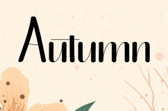 Beautiful Handwriting Product Image 3