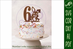Bunny personalized number cake toppers, 13 designs SVG Product Image 3