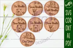 Woodland animals themed Baby monthly milestone discs SVG Product Image 3