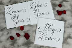 Ameliya Script Product Image 3